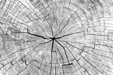 Soyut arkaplan. monokrom dokusu. resim siyah ve beyaz tonları içerir.