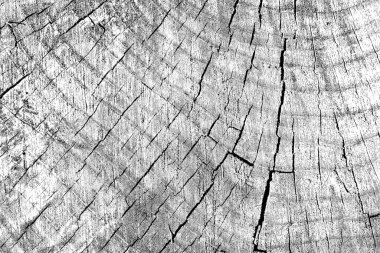 Soyut arkaplan. Monokrom dokusu. Siyah ve beyaz desenli arkaplan. 