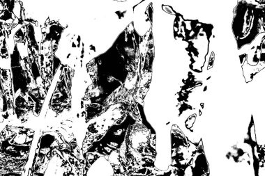 Soyut arkaplan. Monokrom dokusu. Siyah ve beyaz desenli arkaplan. 