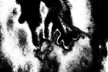 Soyut arkaplan. monokrom dokusu. resim siyah ve beyaz tonları içerir.