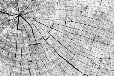 Soyut arkaplan. monokrom dokusu. resim siyah ve beyaz tonları içerir.