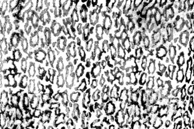 Soyut arkaplan. monokrom dokusu. resim siyah ve beyaz tonları içerir.