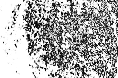 Soyut arkaplan. monokrom dokusu. resim siyah ve beyaz tonları içerir.