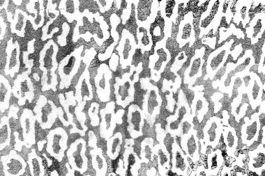 Soyut arkaplan. monokrom dokusu. resim siyah ve beyaz tonları içerir.