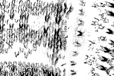 Soyut arkaplan. Monokrom dokusu. Siyah ve beyaz desenli arkaplan. 