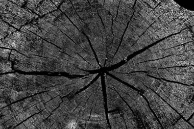 Soyut arkaplan. monokrom dokusu. resim siyah ve beyaz tonları içerir.