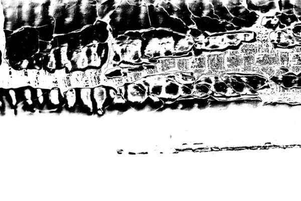 Абстрактный Фон Монохромная Текстура Изображение Включая Эффект Черно Белых Тонов — стоковое фото