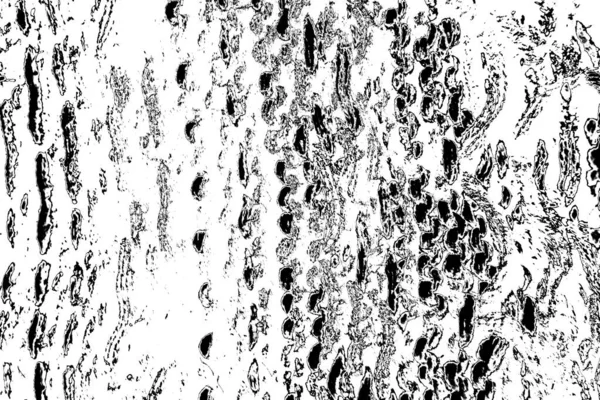 Sfondo Astratto Texture Monocromatica Immagine Compreso Effetto Toni Bianco Nero — Foto Stock