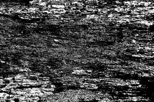 Sfondo Astratto Texture Monocromatica Immagine Compreso Effetto Toni Bianco Nero — Foto Stock