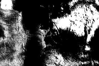 Soyut siyah beyaz arkaplan. Monokrom dokusu