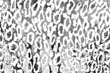 Soyut arkaplan. Monokrom dokusu. Siyah ve beyaz desenli arkaplan. 