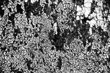 Soyut siyah beyaz arkaplan. Monokrom dokusu