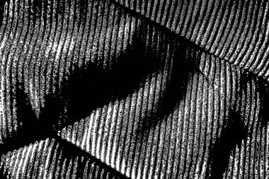 Soyut arkaplan. monokrom dokusu. resim siyah ve beyaz tonları içerir.