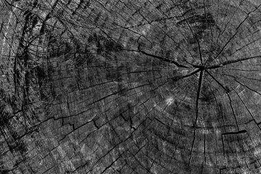 Soyut arkaplan. monokrom dokusu. resim siyah ve beyaz tonları içerir.