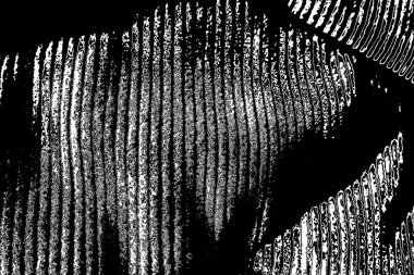 Soyut arkaplan. monokrom dokusu. resim siyah ve beyaz tonları içerir.