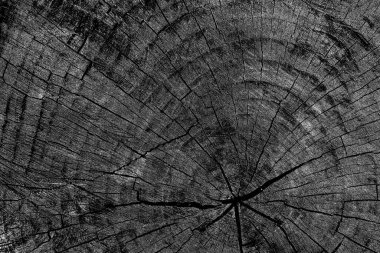 Soyut arkaplan. monokrom dokusu. resim siyah ve beyaz tonları içerir.