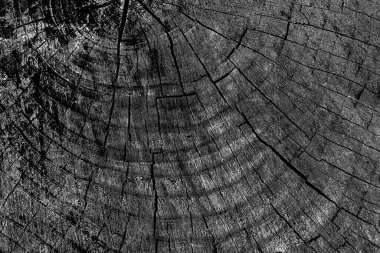 Soyut arkaplan. monokrom dokusu. resim siyah ve beyaz tonları içerir.