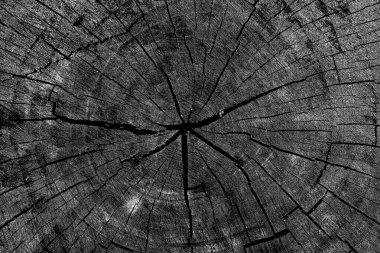 Soyut arkaplan. monokrom dokusu. resim siyah ve beyaz tonları içerir.