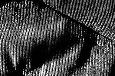 Soyut arkaplan. monokrom dokusu. resim siyah ve beyaz tonları içerir.