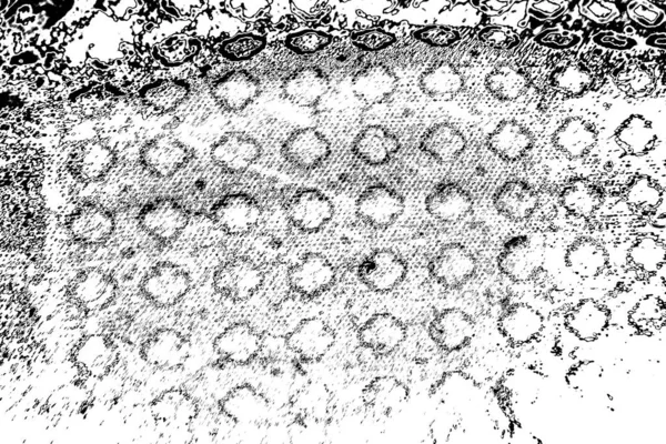 Абстрактний Фон Монохромна Текстура Чорно Білий Текстурований Фон — стокове фото
