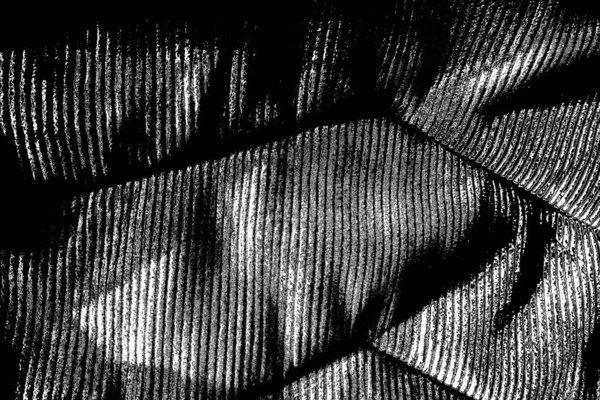 Fond Abstrait Texture Monochrome Image Incluant Effet Les Tons Noir — Photo