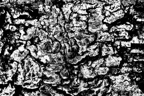 Abstract Background Monochrome Texture Image Including Effect Black White Tones — Stock Photo, Image