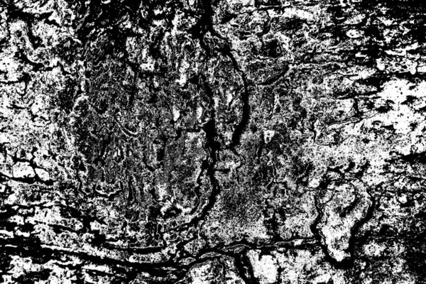 Sfondo Astratto Texture Monocromatica Immagine Compreso Effetto Toni Bianco Nero — Foto Stock