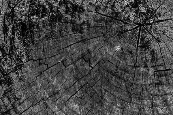 Sfondo Astratto Texture Monocromatica Immagine Compreso Effetto Toni Bianco Nero — Foto Stock