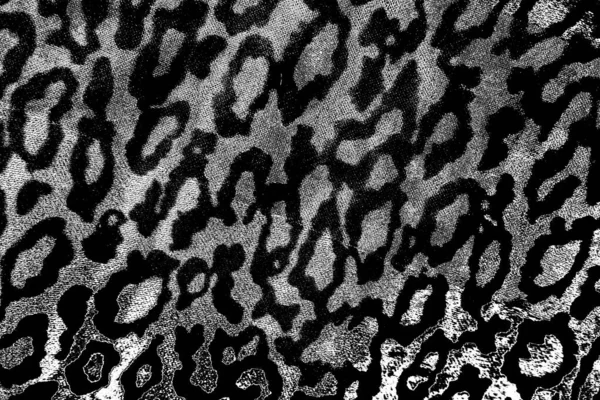 Sfondo Astratto Texture Monocromatica Immagine Compreso Effetto Toni Bianco Nero — Foto Stock