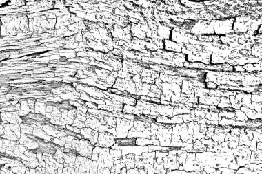 Soyut arkaplan. Monokrom dokusu. Siyah ve beyaz desenli arkaplan. 