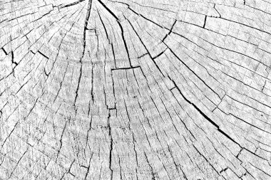 Soyut arkaplan. Monokrom dokusu. Siyah ve beyaz desenli arkaplan. 