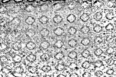 Soyut arkaplan. Monokrom dokusu. Siyah ve beyaz desenli arkaplan. 