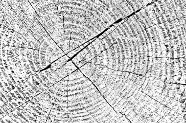 Soyut arkaplan. Monokrom dokusu. Siyah ve beyaz desenli arkaplan. 