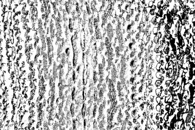 Soyut arkaplan. Monokrom dokusu. Siyah ve beyaz desenli arkaplan. 