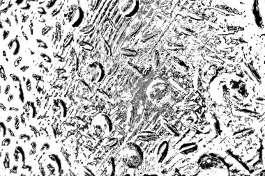 Soyut arkaplan. Monokrom dokusu. Siyah ve beyaz desenli arkaplan. 