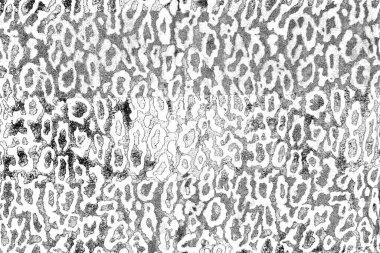 Soyut arkaplan. Monokrom dokusu. Siyah ve beyaz desenli arkaplan. 