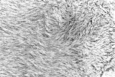 Soyut arkaplan. Monokrom dokusu. Siyah ve beyaz desenli arkaplan. 