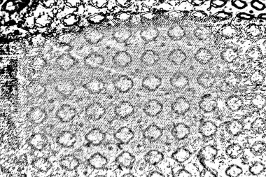 Soyut arkaplan. Monokrom dokusu. Siyah ve beyaz desenli arkaplan. 