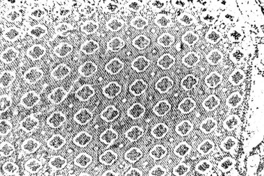Soyut arkaplan. Monokrom dokusu. Siyah ve beyaz desenli arkaplan. 
