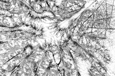 Soyut arkaplan. Monokrom dokusu. Siyah ve beyaz desenli arkaplan. 