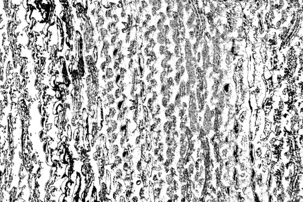 Contexte Abstrait Texture Monochrome Fond Texturé Noir Blanc — Photo