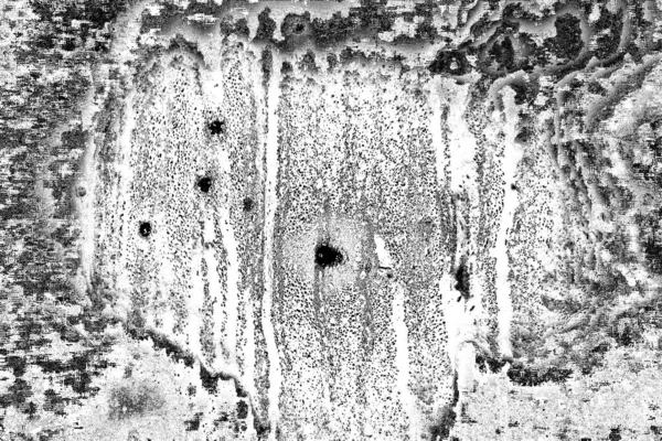 Αφηρημένο Φόντο Μονόχρωμη Υφή Ασπρόμαυρο Ανάγλυφο Φόντο — Φωτογραφία Αρχείου