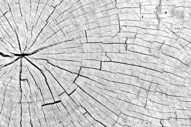 Soyut arkaplan. Monokrom dokusu. Siyah ve beyaz desenli arkaplan. 