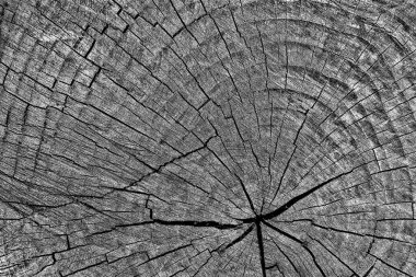 Soyut arkaplan. Monokrom dokusu. Siyah ve beyaz desenli arkaplan. 