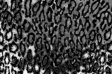 Soyut arkaplan. Monokrom dokusu. Siyah ve beyaz desenli arkaplan. 