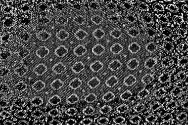Soyut arkaplan. Monokrom dokusu. Siyah ve beyaz desenli arkaplan. 