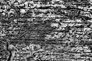 Soyut arkaplan. Monokrom dokusu. Siyah ve beyaz desenli arkaplan. 