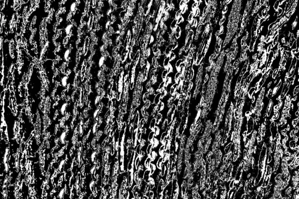 Fondo Abstracto Textura Monocromática Fondo Texturizado Blanco Negro —  Fotos de Stock