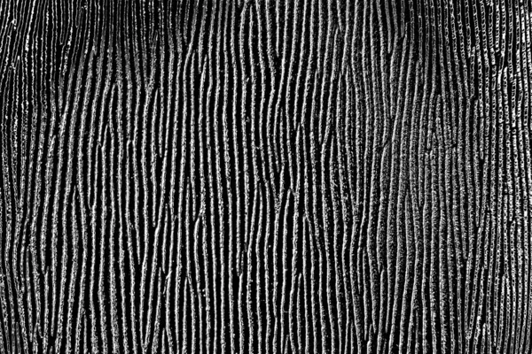 Sfondo Astratto Struttura Monocromatica Bianco Nero Sfondo Strutturato — Foto Stock