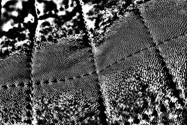 Soyut arkaplan. Monokrom dokusu. Siyah ve beyaz desenli arkaplan. 